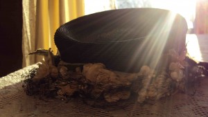 Glad in morning sun again