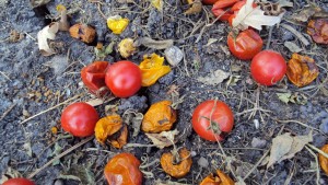 fallenmaters FALLEN
